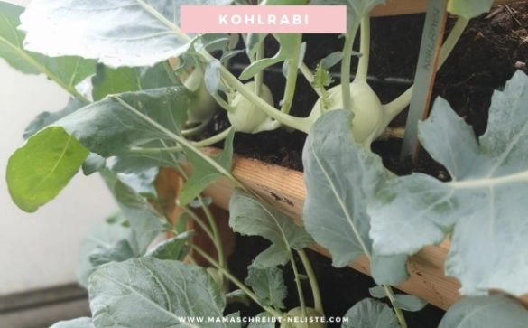 Gillion MSNL 19 Mama schreibt ne Liste // Mama Tipps und Self Care