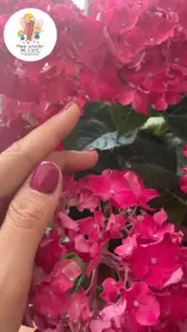 Gitti Nagellacke: Die perfekte Maniküre für Power Moms 17 Gitti Nagellack: No. 146 Wild Orchid
